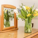 Hawthorn Dale Tatil Evi